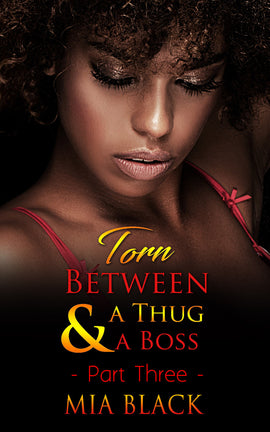 Torn between A Thug & A Boss 3